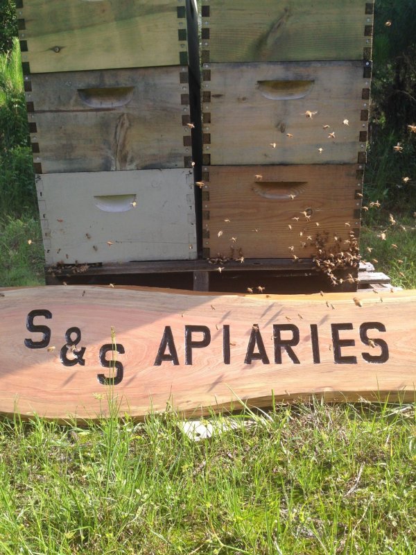 The Best Honey And Bees In Central Florida - S&S Apiaries